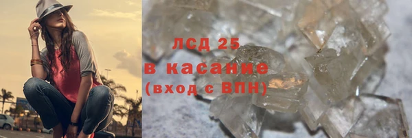 мяу мяу мука Бородино