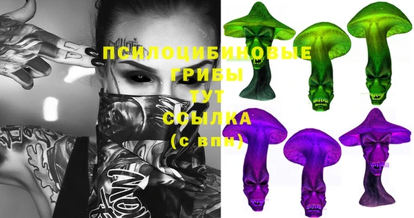 мяу мяу мука Бородино