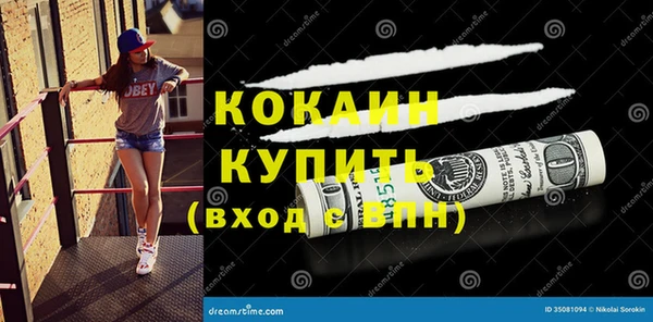 мяу мяу мука Бородино