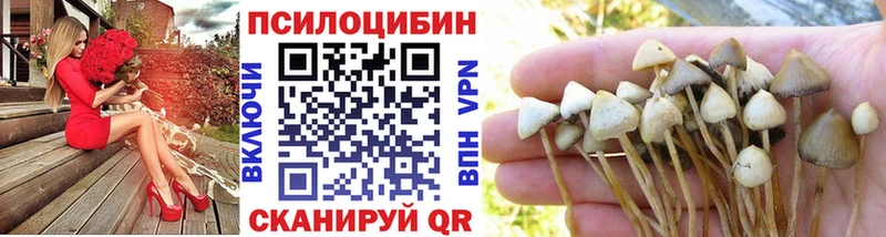 Купить  Кимовск  Псилоцибиновые грибы ЛСД 