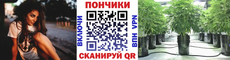 Купить  Кимовск  МАРИХУАНА LSD WEED 